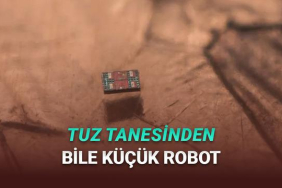 tuz-tanesinden-kucuk-robotlar-gercek-oldu-bilim-kurguya-veda-gercege-merhaba-nckuQtRM.jpg
