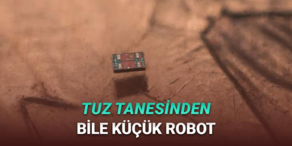 Tuz Tanesinden Küçük Robotlar Gerçek Oldu, Bilim Kurguya Veda Gerçeğe Merhaba!